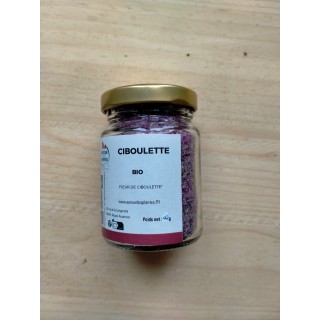 Ciboulette fleur - AB et Nature & Progrès - 10G