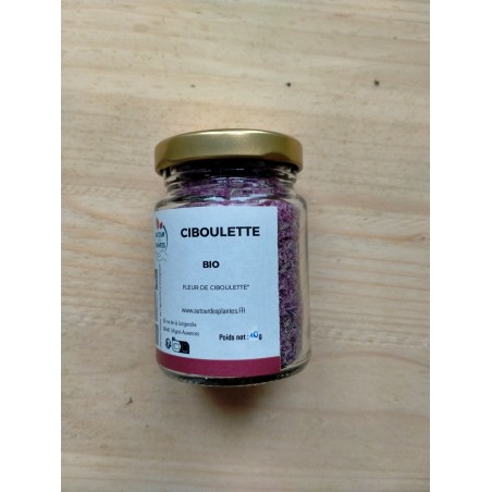 Ciboulette fleur - AB et Nature & Progrès - 10G