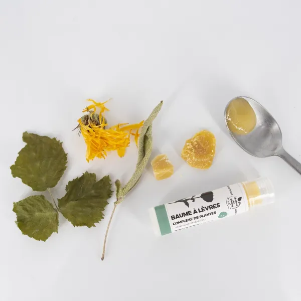 Baume à lèvres au miel